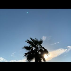 Meet your Posher, Brita